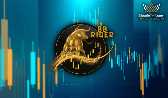 BB Rider PREMIUM Signals Channel